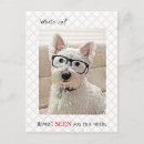 Buscar westies postales General y unisex
