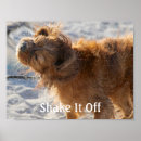 Buscar caballería posters Cachorro