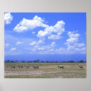 Buscar mamíferos posters Al aire libre