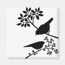 Buscar pájaro blanco y negro imanes Pájaros