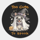Buscar brujas de halloween pegatinas Invitados
