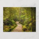 Buscar bosques postales Helechos
