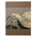 Buscar serpiente de cascabel Víboras