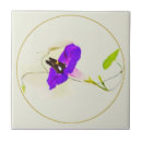 Buscar mariposa azulejos General y unisex