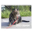Buscar gatos de tabby calendarios 2012