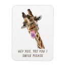Buscar animal rectangulares imanes Divertido