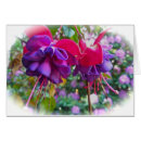 Buscar fushia Fucsia