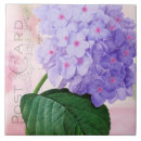 Buscar french azulejos Rosa