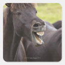 Buscar dientes animales pegatinas Vertical