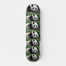 Buscar panda tablas de skate Osos