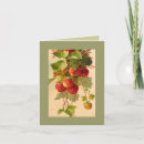 Buscar catherine tarjetas Para todos