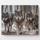 Buscar lobos placas fotograbadas Animales