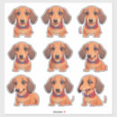Buscar del dachshund pegatinas Perro