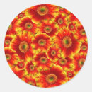 Buscar gerberas pegatinas Margarita