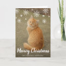 Buscar imagen del gato tarjetas Para mascotas