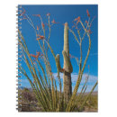 Buscar tucson cuadernos Cactus