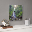 Buscar musgo relojes de pared Selva tropical