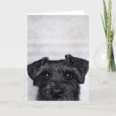Buscar schnauzer tarjetas Negro