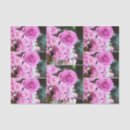 Buscar clavel papel de seda Flores