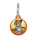 Buscar safari collares Vida silvestre