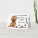 Buscar padre adoptivo tarjetas Para todos
