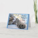 Buscar felina tarjetas Siesta de gato