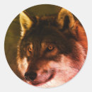 Buscar solitario pegatinas Lobo