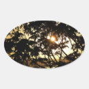 Buscar tropical ovales pegatinas General y unisex