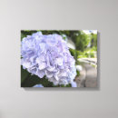 Buscar hortensia lienzos Naturaleza