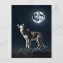 Buscar luna del lobo postales Noche