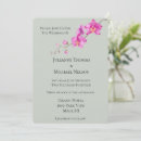 Buscar orquídea verde invitaciones Flores