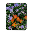 Buscar cuenca imanes Flor