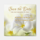 Buscar kauai invitaciones Parejas