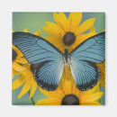 Buscar papilio fotografía Amarillo