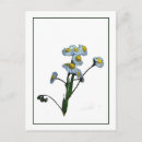 Buscar dibujo botánico postales Para todos