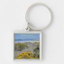 Buscar sierra nevada llaveros Lago