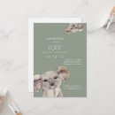 Buscar oso de koala invitaciones Para niños