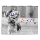 Buscar yorkshire calendarios Perrito