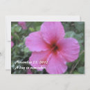 Buscar hibisco invitaciones Hawaiano