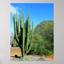 Buscar órgano posters Cactus