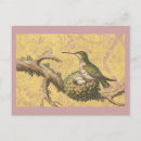 Buscar colibrí postales Ilustracion