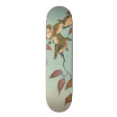 Buscar bella comp tablas de skate Pájaros
