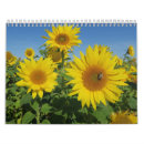 Buscar girasoles calendarios Verano