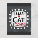 Buscar besar gatos Gato divertido