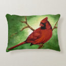 Buscar plumas rojas cojines General y unisex