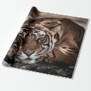 Buscar macho papel de regalo Animal