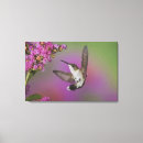 Buscar juveniles lienzos Colorido