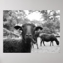 Buscar ovejas negras posters Negro