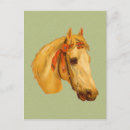Buscar cabeza de caballo postales Vintage