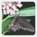 Buscar mariposa negra pegatinas General y unisex